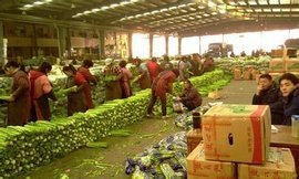 杭州農副產品物流中心 長三角的“菜籃子”與流通樞紐